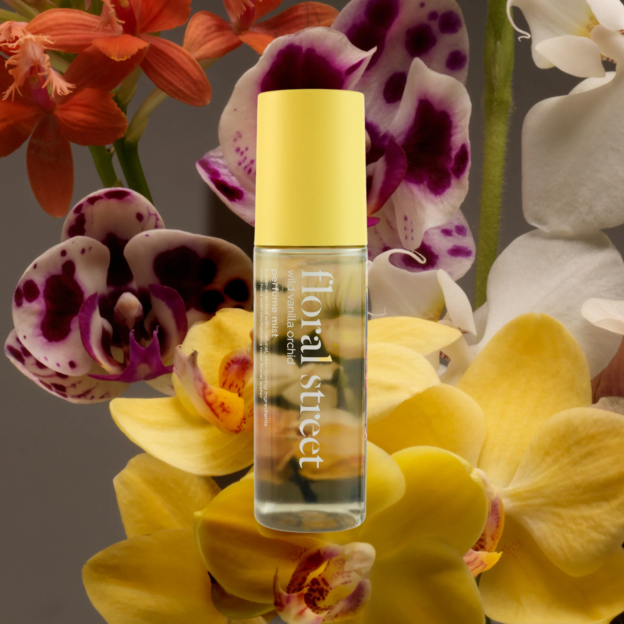 Wild Vanilla Orchid Perfume Mist - Image 4